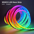 DC5V RGBIC Neon LED Strip Light WS2812 Waterproof Silicone Gel Sign Tape Soft Flexible Fairy Light For Room Wall Decor 1M-5M